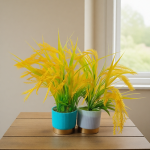 ধানের শীষ টব নেতা নেত্রীর জন্য সেরা উপহার 2 পিস